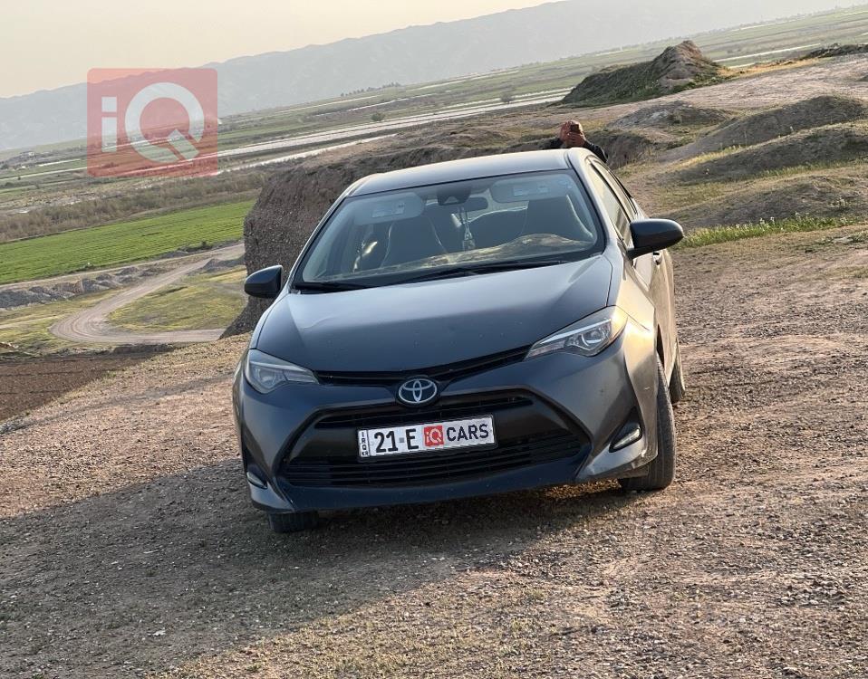 تويوتا كورولا